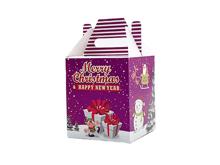 Christmas Box Packaging